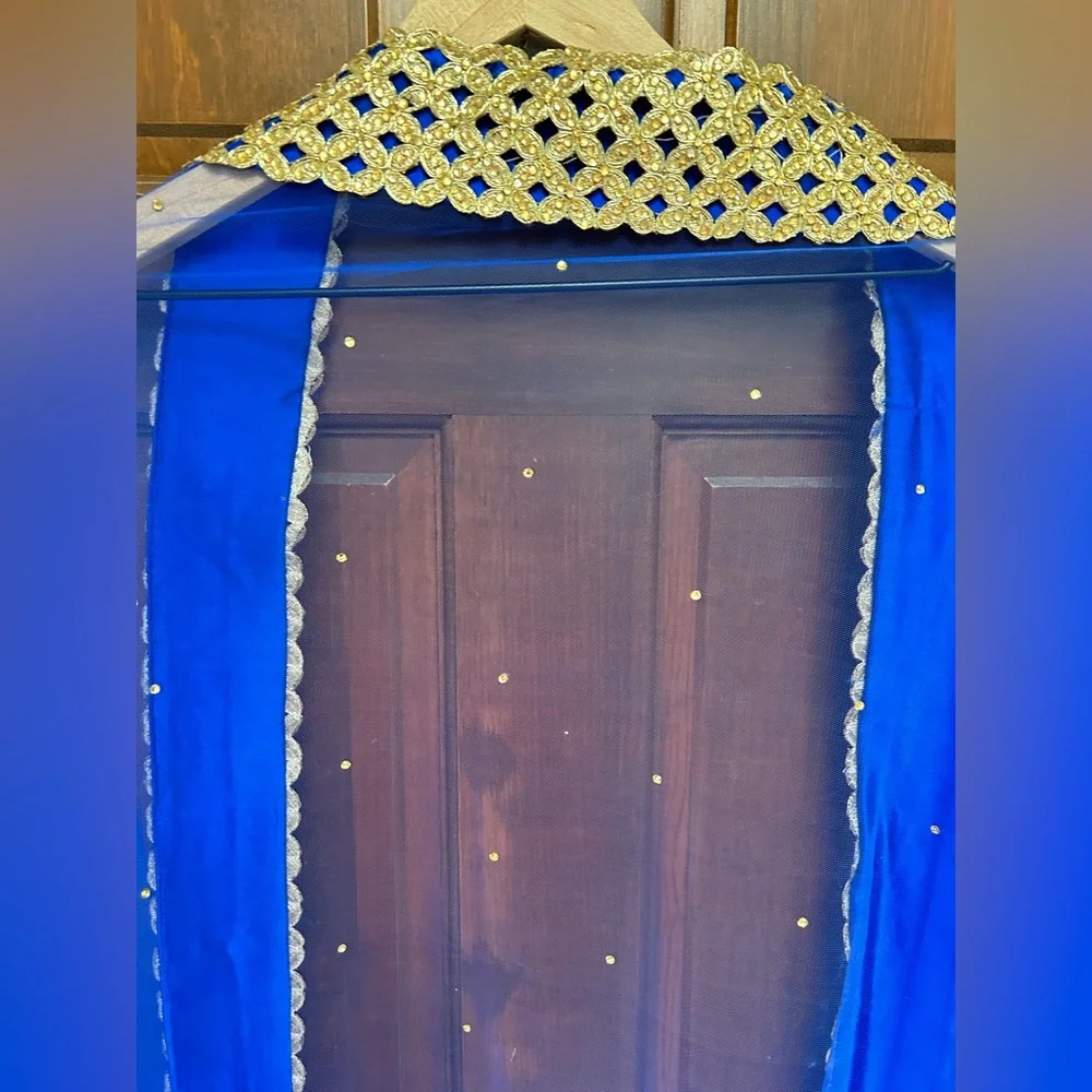 Royal Blue Net Dupatta with Gold Lace Border - Picture 2 of 10